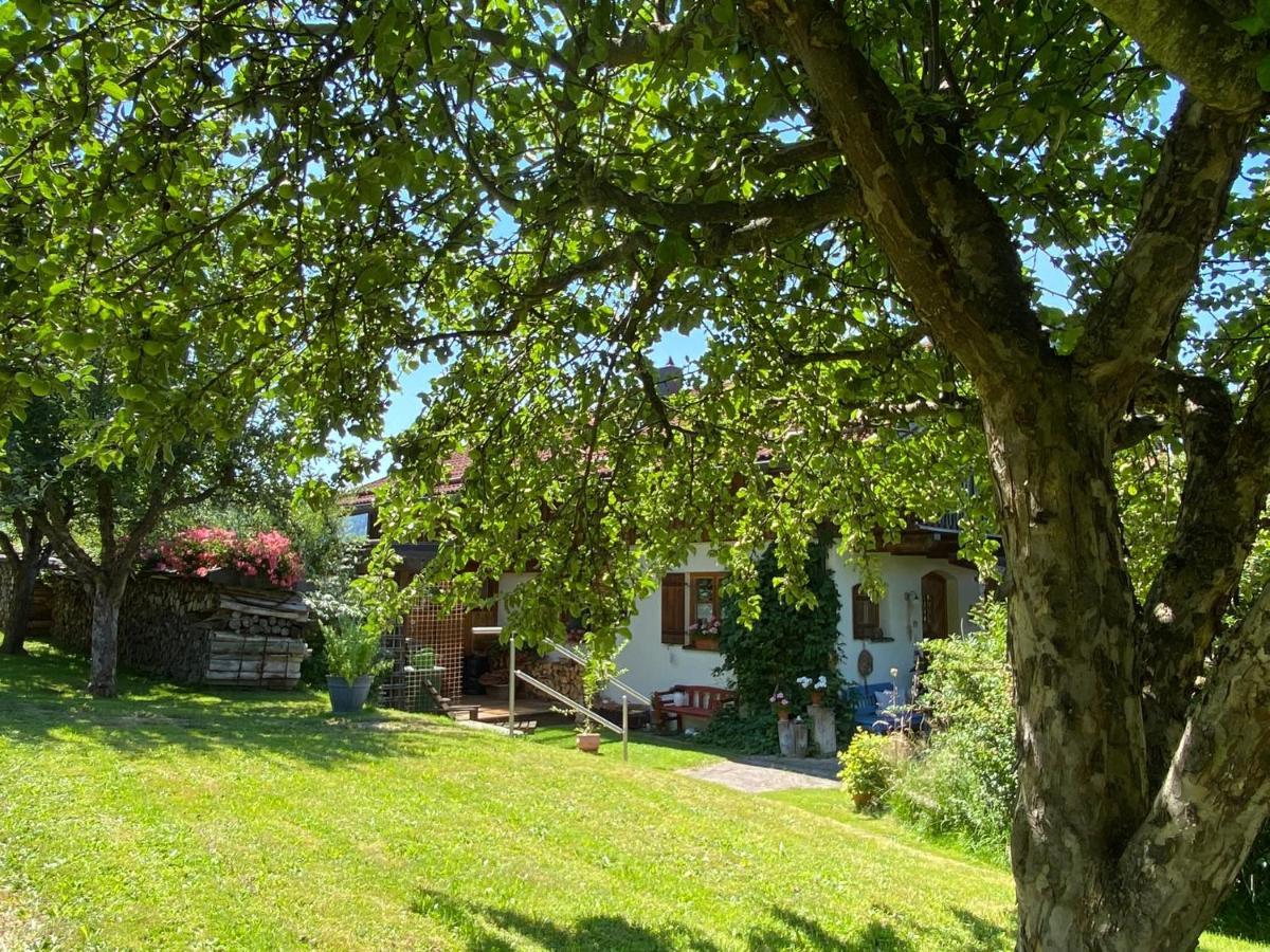 Haus Wiesengrund Frauenau Exterior foto